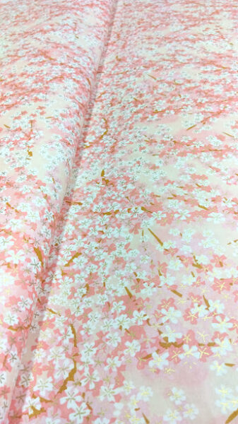 バインダー２ＤＬ