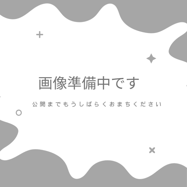 増粘剤ＶＳ－ＳＨＦ